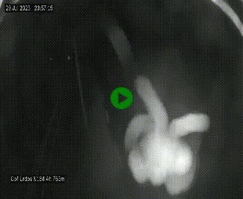 Webcam dans les Pyrénées Atlantique au niveau du col d'Urdos et du fort du Pourtalet sur la N134, en direction du Col et du tunnel du Somport, à 765 mètres d'altitude