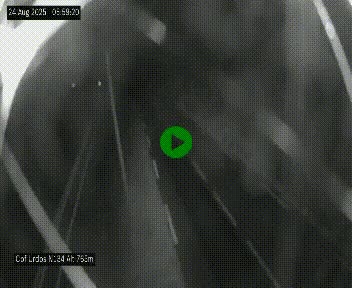 Webcam dans les Pyrénées Atlantique au niveau du col d'Urdos et du fort du Pourtalet sur la N134, en direction du Col et du tunnel du Somport, à 765 mètres d'altitude