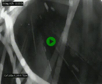 Webcam dans les Pyrénées Atlantique au niveau du col d'Urdos et du fort du Pourtalet sur la N134, en direction du Col et du tunnel du Somport, à 765 mètres d'altitude