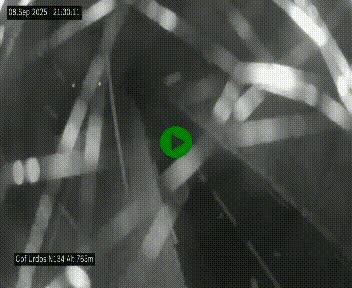 Webcam dans les Pyrénées Atlantique au niveau du col d'Urdos et du fort du Pourtalet sur la N134, en direction du Col et du tunnel du Somport, à 765 mètres d'altitude