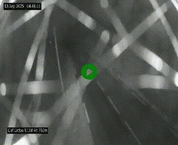 Webcam dans les Pyrénées Atlantique au niveau du col d'Urdos et du fort du Pourtalet sur la N134, en direction du Col et du tunnel du Somport, à 765 mètres d'altitude