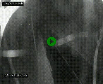 <h2>Webcam dans les Pyrénées Atlantique au niveau du col d'Urdos et du fort du Pourtalet sur la N134, en direction du Col et du tunnel du Somport, à 765 mètres d'altitude</h2>