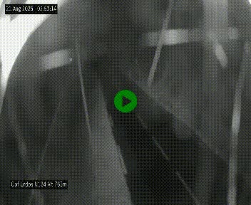 <h2>Webcam dans les Pyrénées Atlantique au niveau du col d'Urdos et du fort du Pourtalet sur la N134, en direction du Col et du tunnel du Somport, à 765 mètres d'altitude</h2>