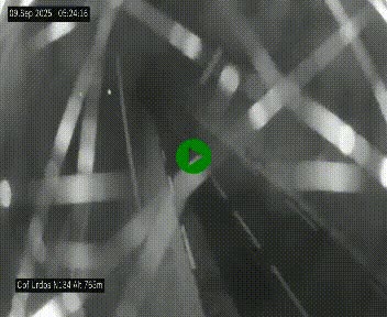 <h2>Webcam dans les Pyrénées Atlantique au niveau du col d'Urdos et du fort du Pourtalet sur la N134, en direction du Col et du tunnel du Somport, à 765 mètres d'altitude</h2>