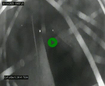 <h2>Webcam dans les Pyrénées Atlantique au niveau du col d'Urdos et du fort du Pourtalet sur la N134, en direction du Col et du tunnel du Somport, à 765 mètres d'altitude</h2>