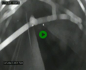 <h2>Webcam dans les Pyrénées Atlantique au niveau du col d'Urdos et du fort du Pourtalet sur la N134, en direction du Col et du tunnel du Somport, à 765 mètres d'altitude</h2>