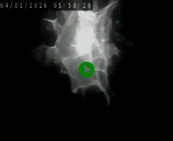 <h2>Caméra autoroute A75 à hauteur de Le Crest, en direction de Montpellier</h2>