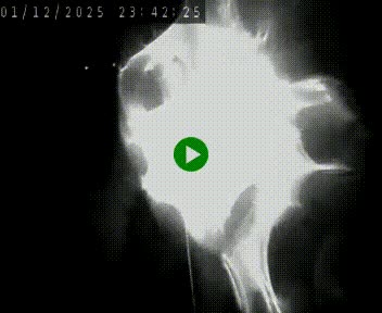 <h2>Caméra autoroute A75 à hauteur de Le Crest, en direction de Montpellier</h2>