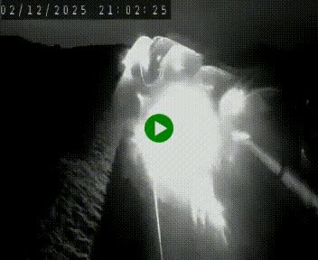 <h2>Caméra autoroute A75 à hauteur de Le Crest, en direction de Montpellier</h2>