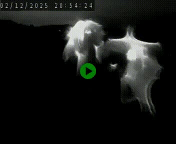 <h2>Caméra autoroute A75 à hauteur de Le Crest, en direction de Montpellier</h2>