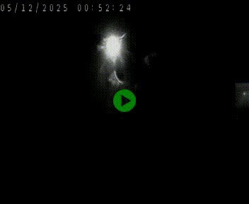 <h2>Caméra autoroute A75 à hauteur de Le Crest, en direction de Montpellier</h2>