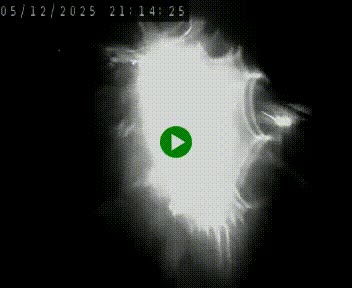 <h2>Caméra autoroute A75 à hauteur de Le Crest, en direction de Montpellier</h2>