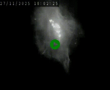 <h2>Caméra autoroute A75 à hauteur de Le Crest, en direction de Montpellier</h2>