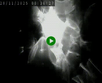 <h2>Caméra autoroute A75 à hauteur de Le Crest, en direction de Montpellier</h2>