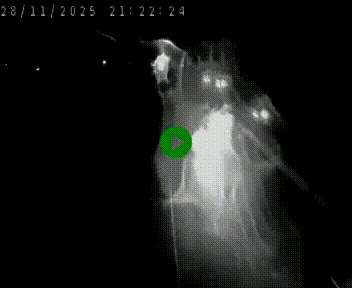 <h2>Caméra autoroute A75 à hauteur de Le Crest, en direction de Montpellier</h2>