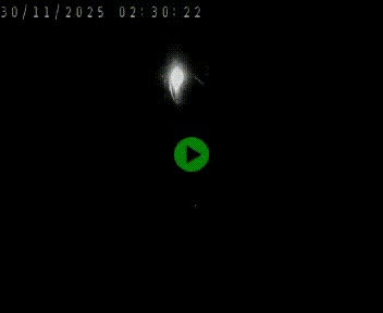 <h2>Caméra autoroute A75 à hauteur de Le Crest, en direction de Montpellier</h2>