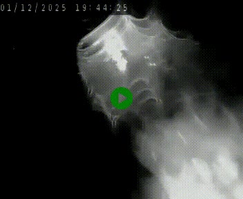 <h2>Caméra autoroute A75 à hauteur de Le Crest, en direction de Montpellier</h2>