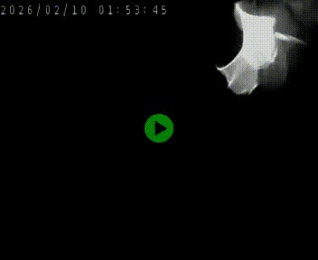 <h2>Clone of Caméra autoroute A75 à hauteur de la sortie 42 (Rodez, Laissac, Aire de l'Auvergne) située sur la commune d'Auberoques, près de Sévérac-le-Château</h2>