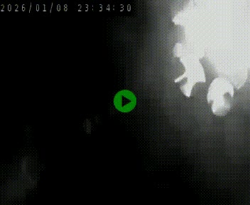 <h2>Clone of Caméra autoroute A75 à hauteur de la sortie 42 (Rodez, Laissac, Aire de l'Auvergne) située sur la commune d'Auberoques, près de Sévérac-le-Château</h2>