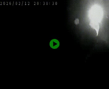 <h2>Clone of Caméra autoroute A75 à hauteur de la sortie 42 (Rodez, Laissac, Aire de l'Auvergne) située sur la commune d'Auberoques, près de Sévérac-le-Château</h2>