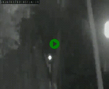 <h2>Caméra routière France - N102, au niveau du col de Montmirat à Saint-Etienne-du-Valdonnez à 1039 mètres d'altitude</h2>