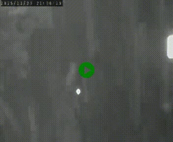 <h2>Caméra routière France - N102, au niveau du col de Montmirat à Saint-Etienne-du-Valdonnez à 1039 mètres d'altitude</h2>