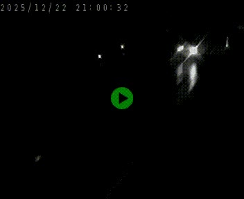 <h2>Caméra routière France - N88, Le Rayol, en direction de Le Puy-en-Velay</h2>