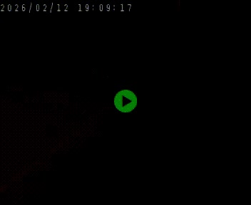 <h2>Caméra routière France - N88, Le Rayol, en direction de Le Puy-en-Velay</h2>