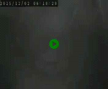 <h2>Webcam routière au niveau du col de la Chavade en Ardèche, sur la N102 à 1266 mètres d'altitude</h2>