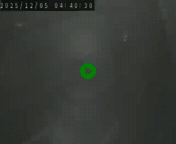 <h2>Webcam routière au niveau du col de la Chavade en Ardèche, sur la N102 à 1266 mètres d'altitude</h2>