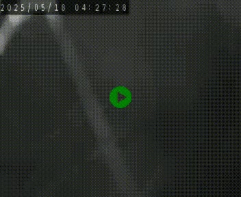 Webcam routière au niveau du col de la Chavade en Ardèche, sur la N102 à 1266 mètres d'altitude