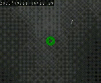 Webcam routière au niveau du col de la Chavade en Ardèche, sur la N102 à 1266 mètres d'altitude