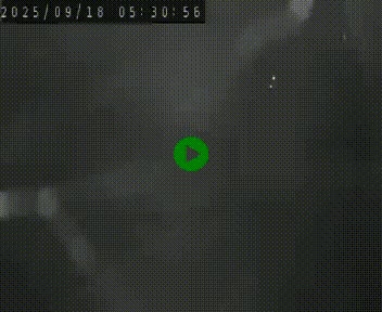 Webcam routière au niveau du col de la Chavade en Ardèche, sur la N102 à 1266 mètres d'altitude