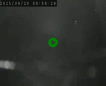 Webcam routière au niveau du col de la Chavade en Ardèche, sur la N102 à 1266 mètres d'altitude