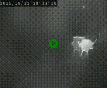 <h2>Webcam routière au niveau du col de la Chavade en Ardèche, sur la N102 à 1266 mètres d'altitude</h2>