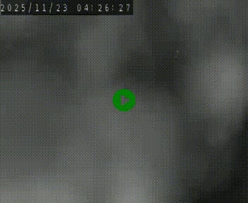 <h2>Webcam routière au niveau du col de la Chavade en Ardèche, sur la N102 à 1266 mètres d'altitude</h2>