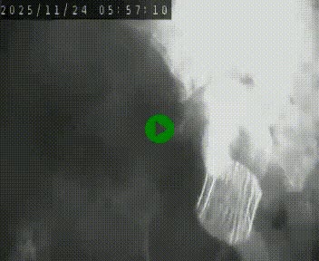 <h2>Webcam routière au niveau du col de la Chavade en Ardèche, sur la N102 à 1266 mètres d'altitude</h2>