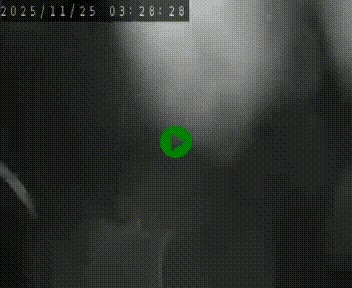 <h2>Webcam routière au niveau du col de la Chavade en Ardèche, sur la N102 à 1266 mètres d'altitude</h2>