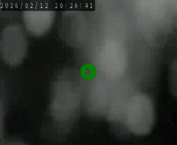 <h2>Webcam routière au niveau du col de la Chavade en Ardèche, sur la N102 à 1266 mètres d'altitude</h2>