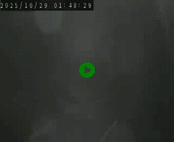 <h2>Webcam routière au niveau du col de la Chavade en Ardèche, sur la N102 à 1266 mètres d'altitude</h2>