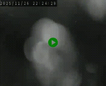 <h2>Webcam routière au niveau du col de la Chavade en Ardèche, sur la N102 à 1266 mètres d'altitude</h2>