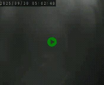 <h2>Webcam routière au niveau du col de la Chavade en Ardèche, sur la N102 à 1266 mètres d'altitude</h2>