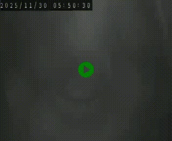 <h2>Webcam routière au niveau du col de la Chavade en Ardèche, sur la N102 à 1266 mètres d'altitude</h2>