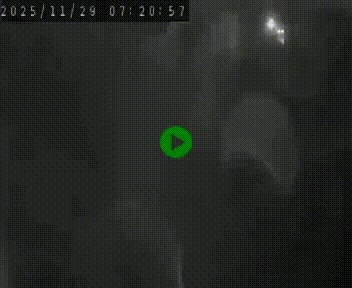 <h2>Webcam routière au niveau du col de la Chavade en Ardèche, sur la N102 à 1266 mètres d'altitude</h2>