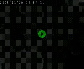 <h2>Webcam routière au niveau du col de la Chavade en Ardèche, sur la N102 à 1266 mètres d'altitude</h2>