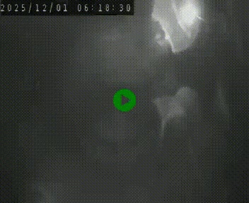 <h2>Webcam routière au niveau du col de la Chavade en Ardèche, sur la N102 à 1266 mètres d'altitude</h2>