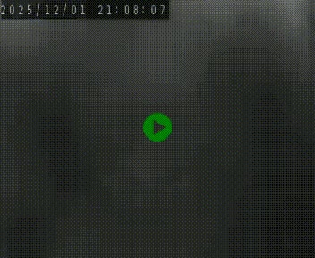 <h2>Webcam routière au niveau du col de la Chavade en Ardèche, sur la N102 à 1266 mètres d'altitude</h2>