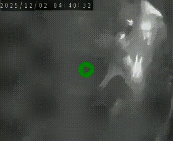 <h2>Webcam routière au niveau du col de la Chavade en Ardèche, sur la N102 à 1266 mètres d'altitude</h2>