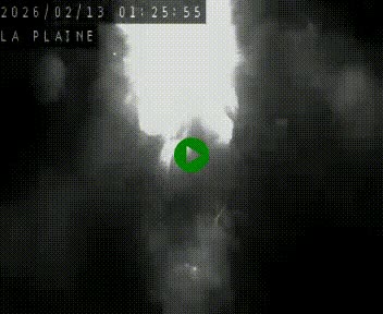 <h2>Caméra routière France - N109, Juvignac - La plaine, en direction de Clermont l'Hérault, à la sortie de Montpellier</h2>