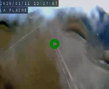 <h2>Caméra routière France - N109, Juvignac - La plaine, en direction de Clermont l'Hérault, à la sortie de Montpellier</h2>